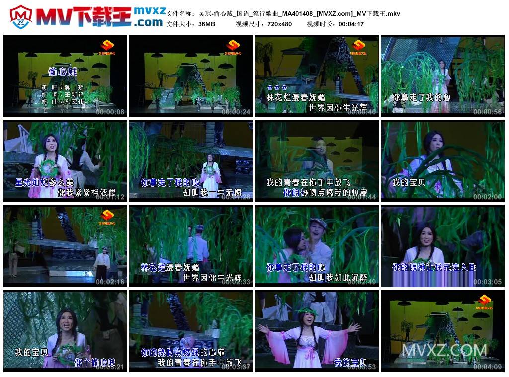 吴琼-偷心贼_国语_流行歌曲_MA401408